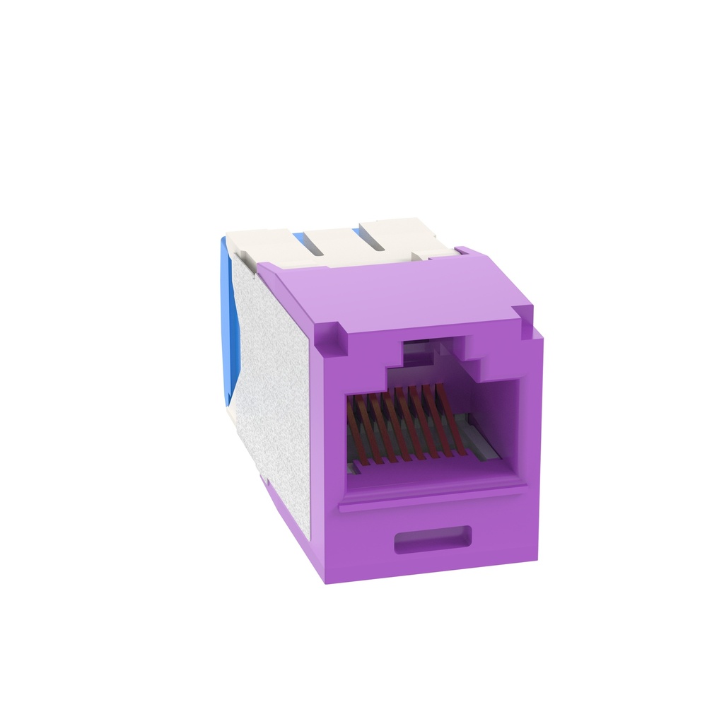 Toma Rj45 Categoria 6A Mini-Com Violeta Panduit