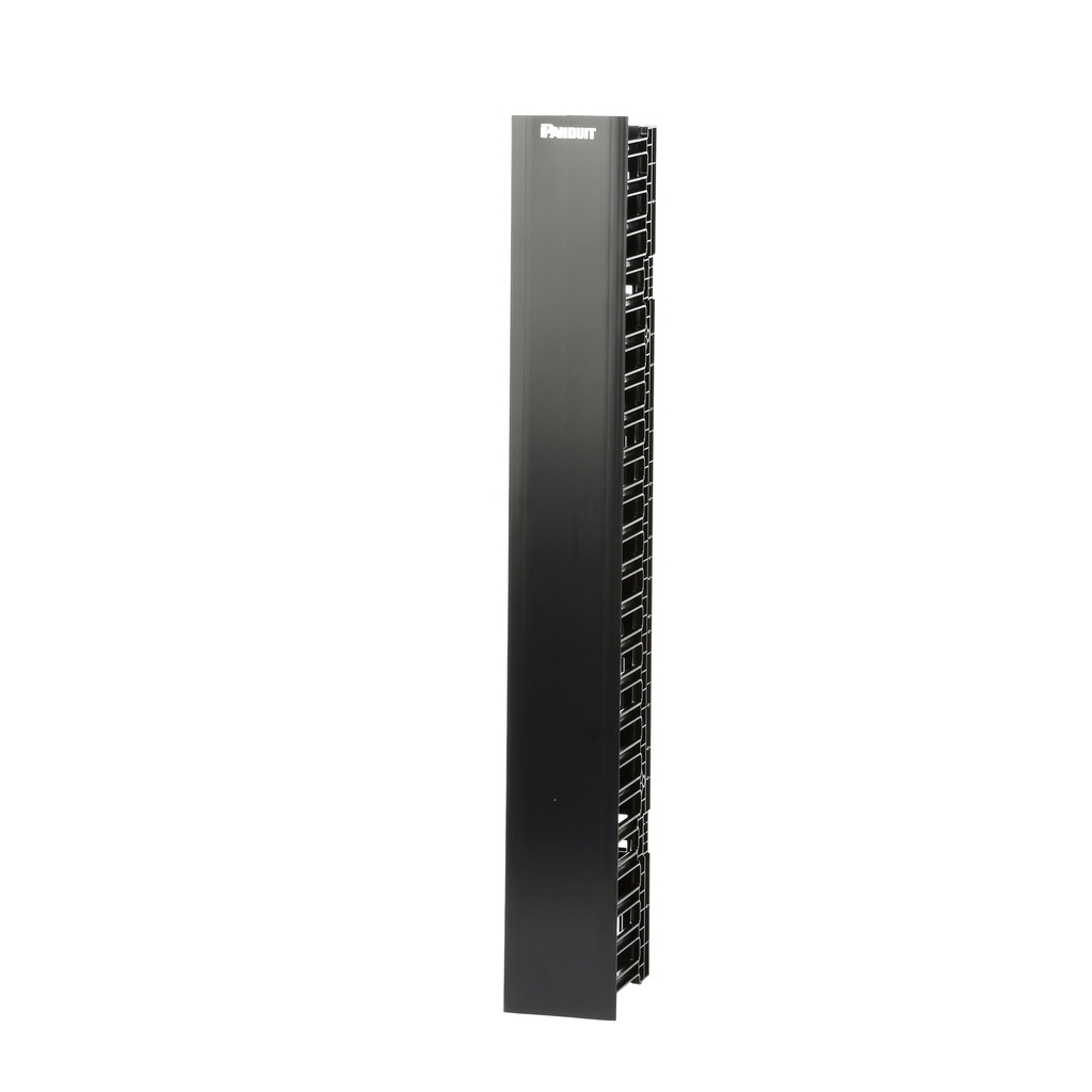 Organizador Vertical 210Cm Altura 45Ru Frontal 4.9X6.5Pulg Con Radios Curvatura Panduit