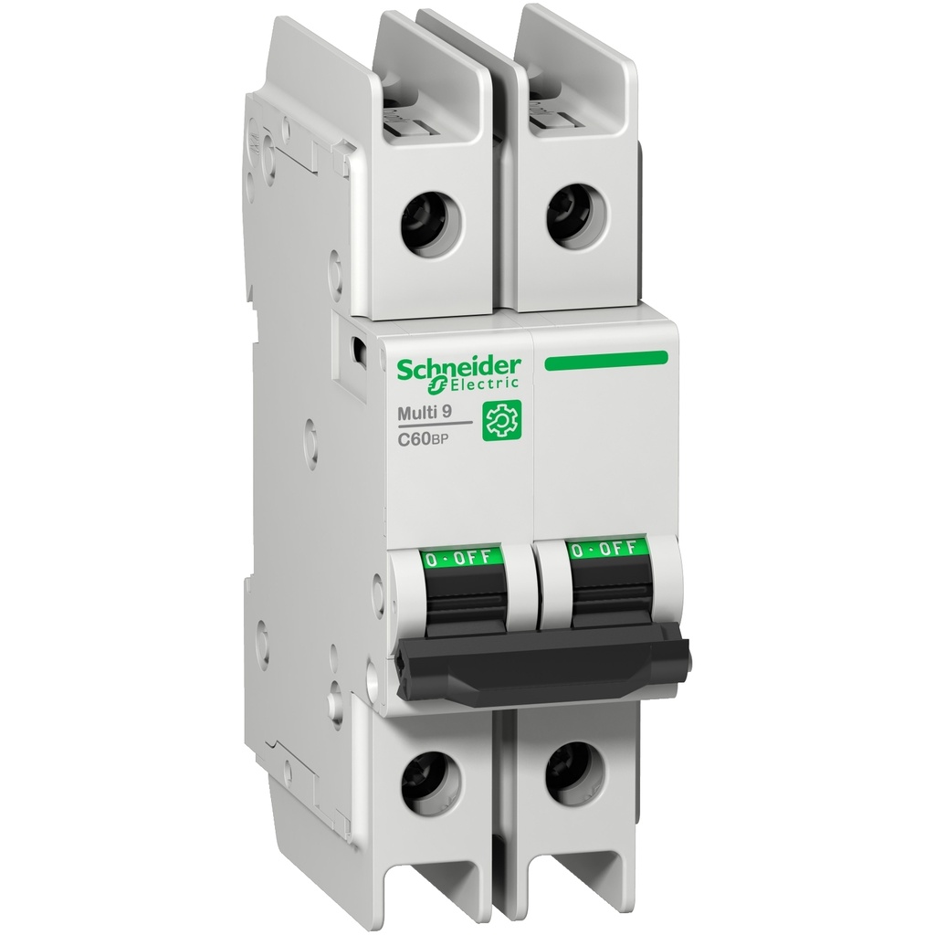 Interruptor Termomágnetico Riel Din Multi 9 C60Bp Mcb 2P 2 A Curva C 480Y/277 V 10 Ka Ul 489 Schneider