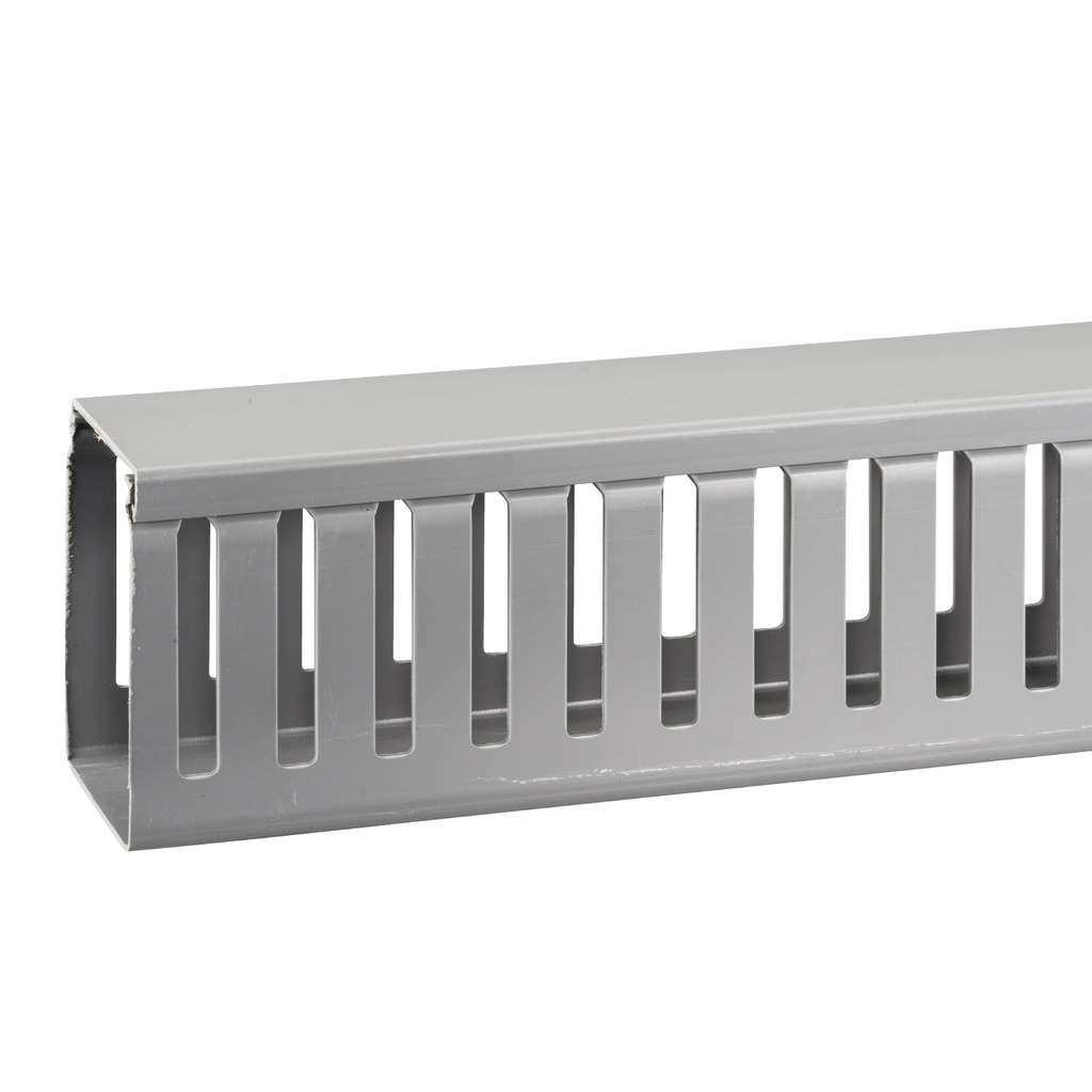 [DXN10102] Canaleta 60Bx80A Mm Gris Ranurada Tramo X 2 Mts Dexson