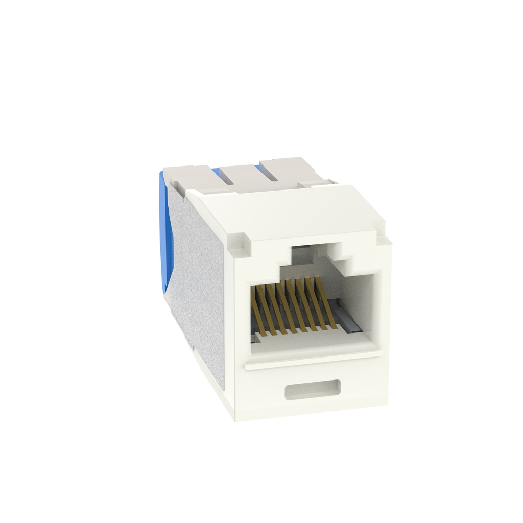 Toma Rj45 Categoria 6A Panduit  Blanca