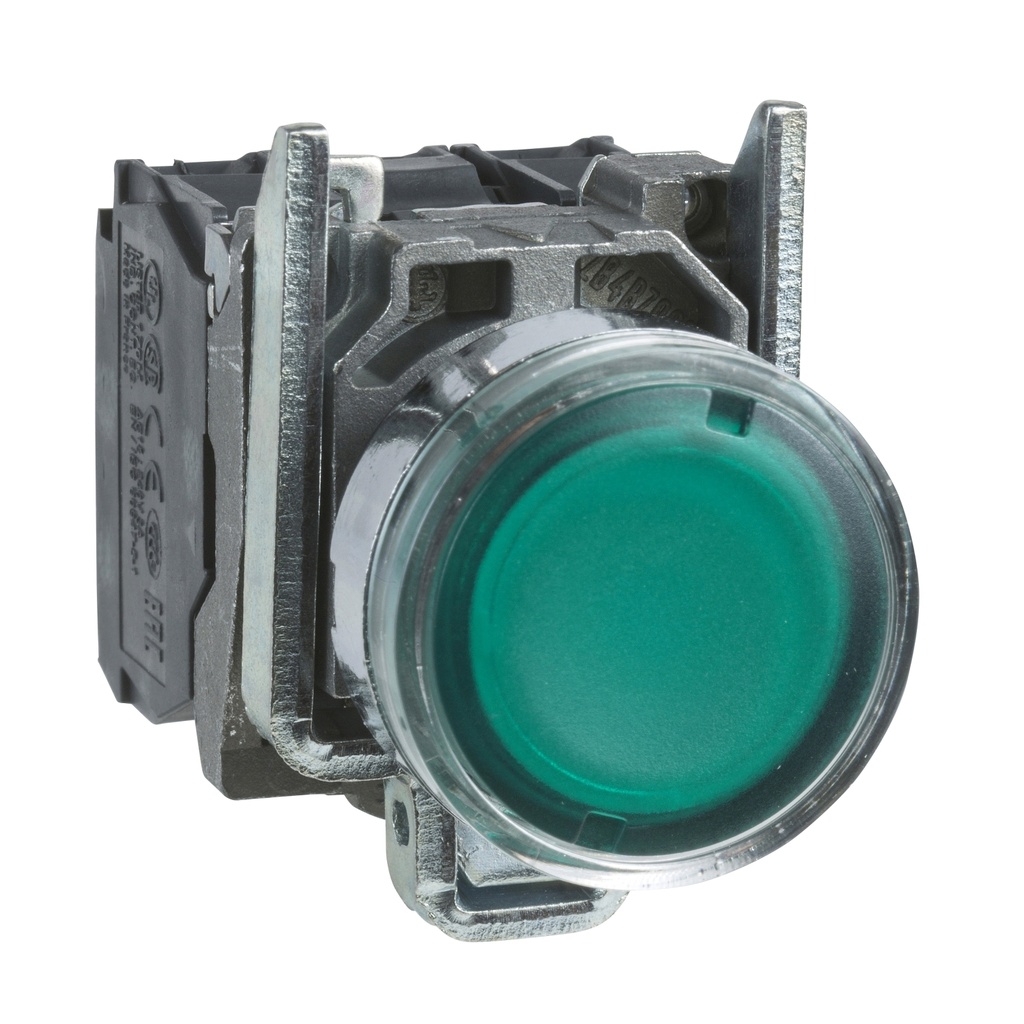 [XB4BW3365] Pulsador Luminoso Verde 22Mm Retorno Resorte Nivelado 250V 1 Na + 1 Nc Schneider