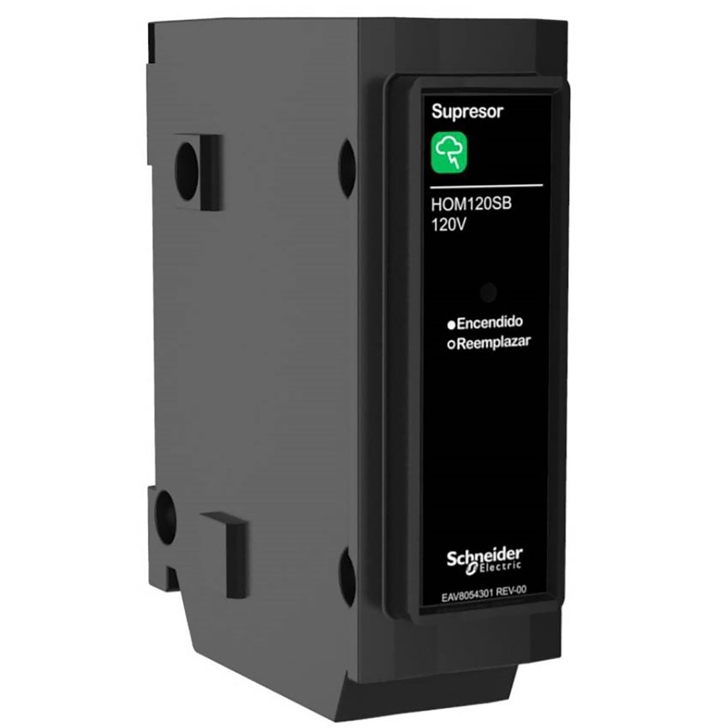 Dps Homeline 120V Schneider