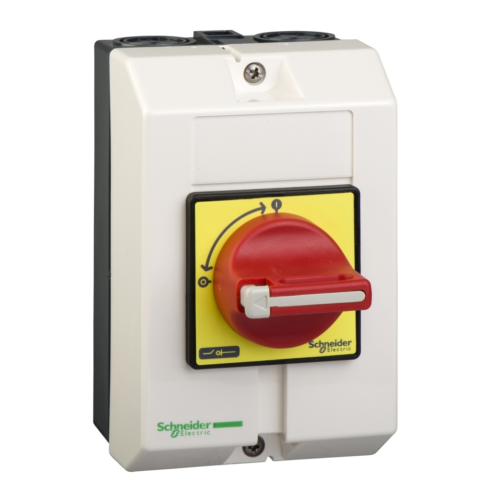 Interruptor Seccionador En Cofre 25A Schneider