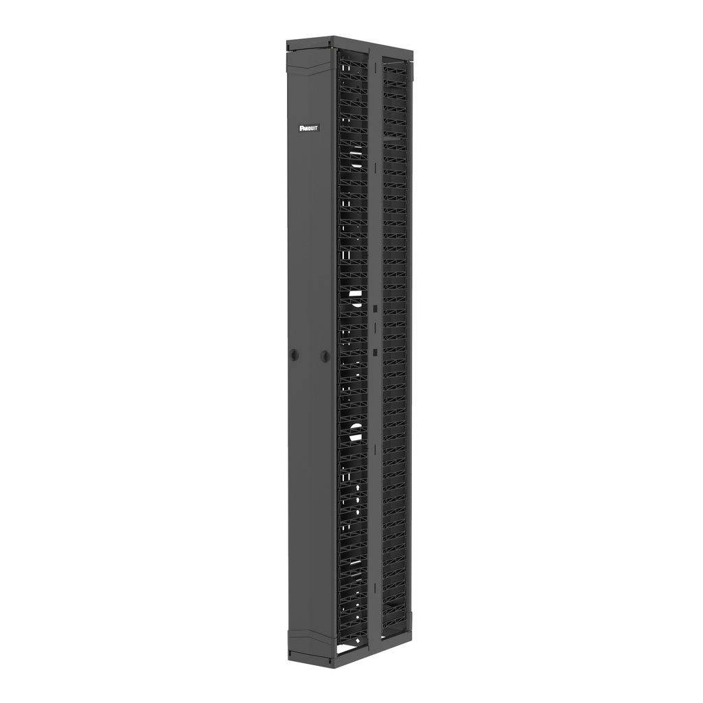 Organizador Vertical 2.1Mts 45Ru 8X20Pulg Frontal Trasero Con Puertas Bisagras Panduit