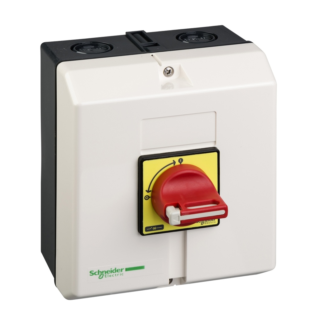 Interruptor Seccionador En Cofre 50A Schneider