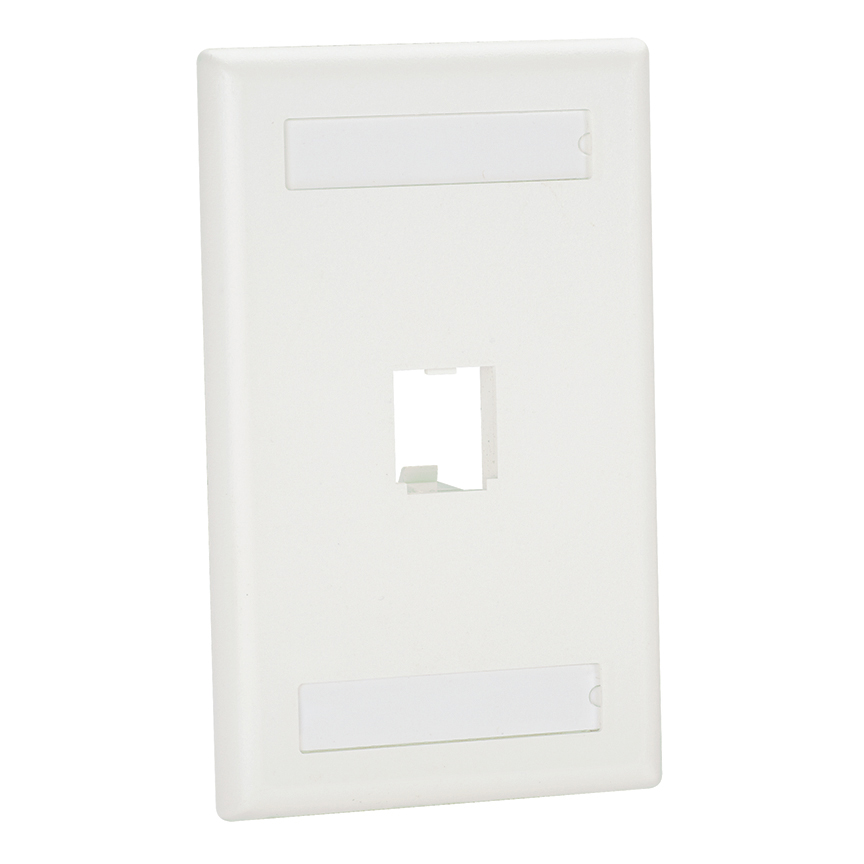 Placa Vertical 1 Espacio Con Etiquetas Blanco Panduit