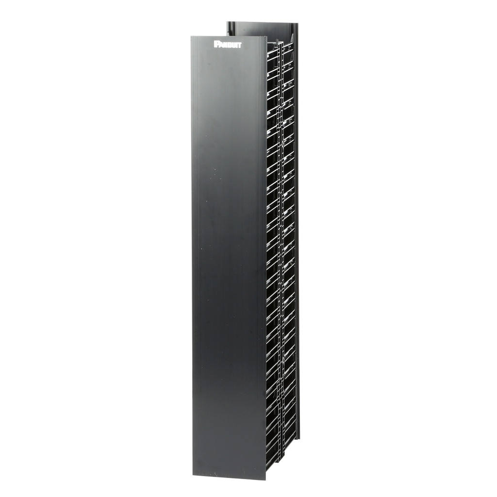 Organizador Vertical 210Cm Altura 45Ru Frontal Trasero 6.7X14Pulg Con Radios Curvatura Panduit