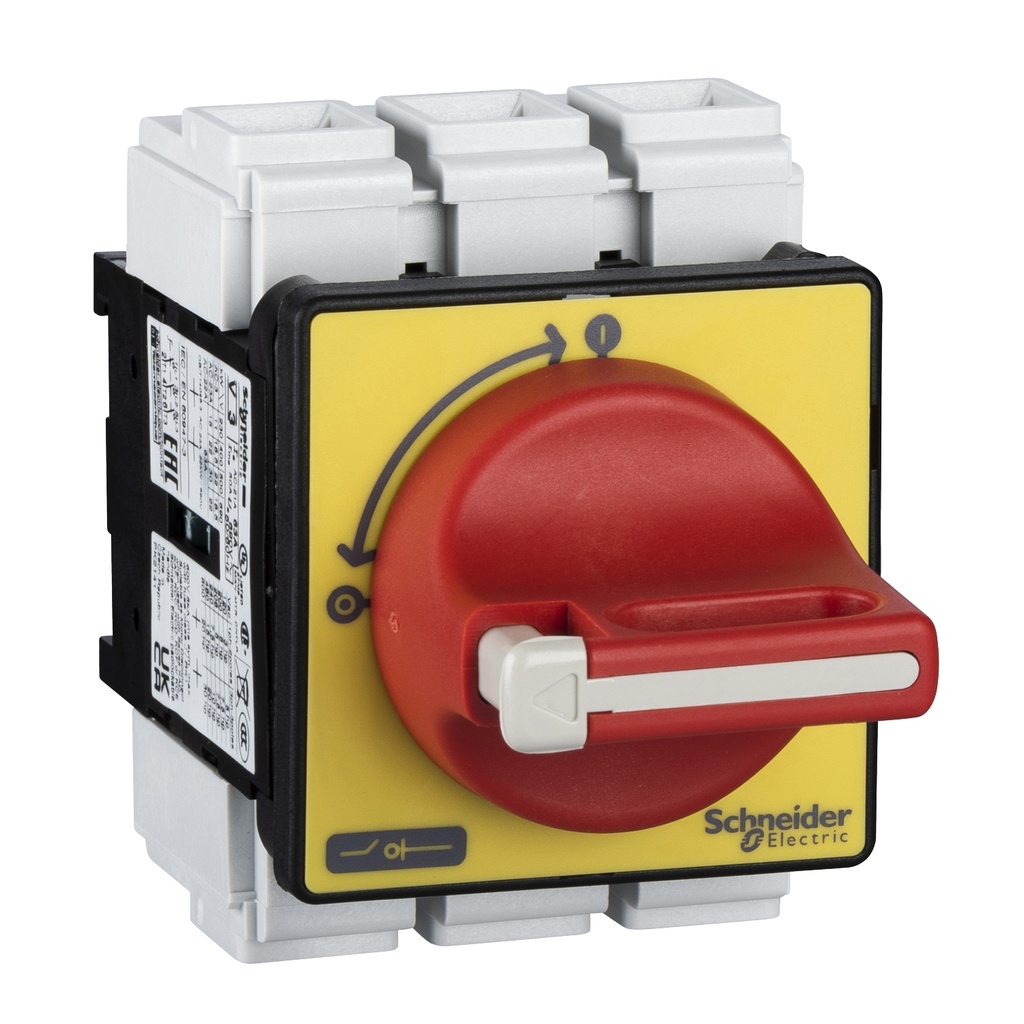 Interruptor Seccionador Parada De Emergencia 63A 690V 3 Polos Con Placa Frontal 60X60Mm Schneider